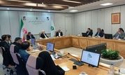 عارف: بنیاد مستضعفان رقیب دولت نیست