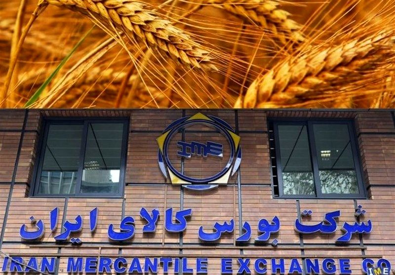 نانوایان آزادپز باید از بورس کالا گندم بخرند