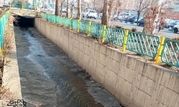 سوب‌برداری بیش از ۱۴ هزار مترمکعب از کانال‌ها، حوضچه‌ها و قنوات منطقه ۵


