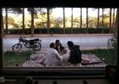 طراحی زیبای یک کافه‌بستنی + عکس