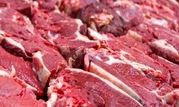 قیمت گوشت تغییری نکرده است