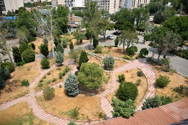 شروع پروژههای آمادهسازی بوستان در محلات اراج و زعفرانیه/ ایجاد سه هکتار فضای سبز پایدار در منطقه یک