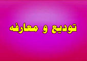 شرکت آماده عرضه اولیه اطلاعات جدید داد