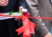 بازنشستگان رقبای وکلای جوان شده اند 