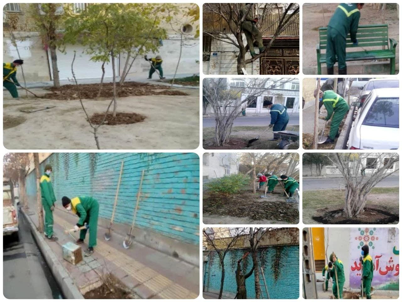 فضای سبز 9 محور در کوچه محل سکونت خانواده شهدا جان تازه گرفت