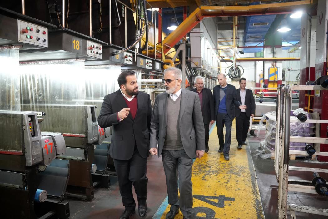 مدیرعامل بانک صنعت و معدن از چندین طرح صنعتی در این استان بازدید کرد

