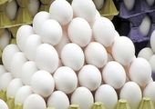 افزایش ۳۰ درصدی نرخ بلیت قطار از نیمه دوم تیرماه

