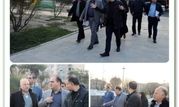 ناحیه ۵ طهران کوچک رصد هفتگی را به خود اختصاص داد

