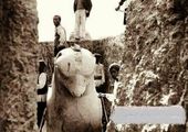 سنگ‌وزنه‌ داریوش بزرگ هخامنشی+عکحس