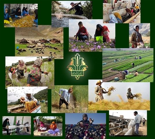 ایجاد 45000 کسب و کار پایدار جدید در مناطق روستایی و عشایری با حمایت بانک کشاورزی
