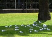 تصویری از جهنم استرالیا از لنز ناسا