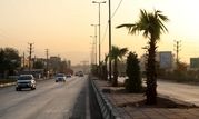 کاشت ۶۰ اصله درخت پالم و یاس هلندی در بلوار بهشت زهرا (س) منطقه ۱۹